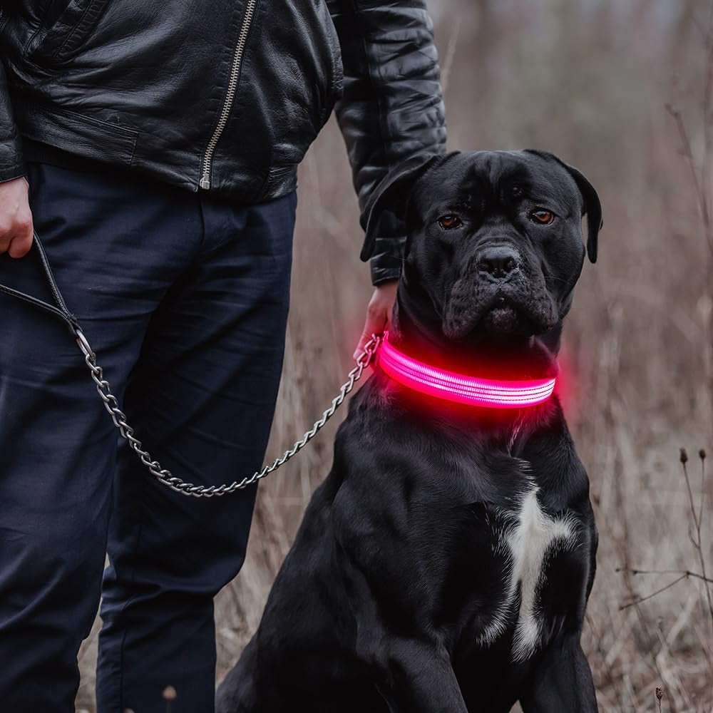 LED Dog Collar, Rechargeable Light up Dog Collars Glow in the Dark, Reflective Safety Collar Light for Dogs Walking at Night (Pink, S)