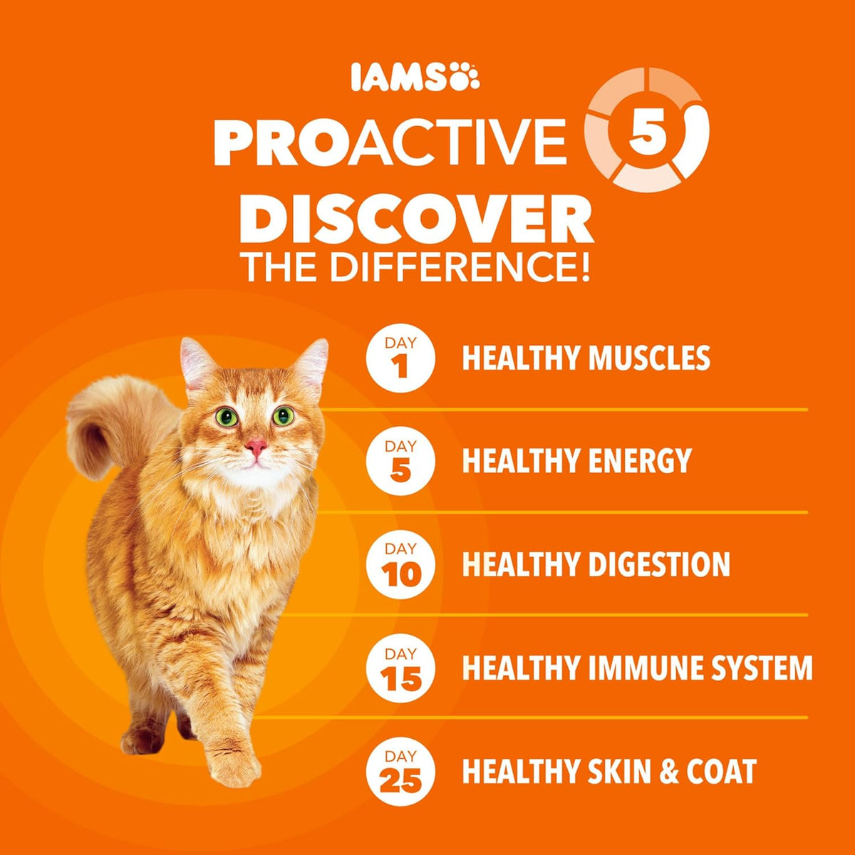 Proactive Health Hairball Dry Cat Food, Chicken & Salmon, 7 Lb