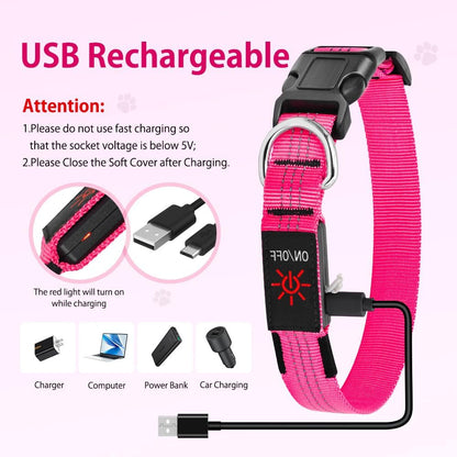 LED Dog Collar, Rechargeable Light up Dog Collars Glow in the Dark, Reflective Safety Collar Light for Dogs Walking at Night (Pink, S)