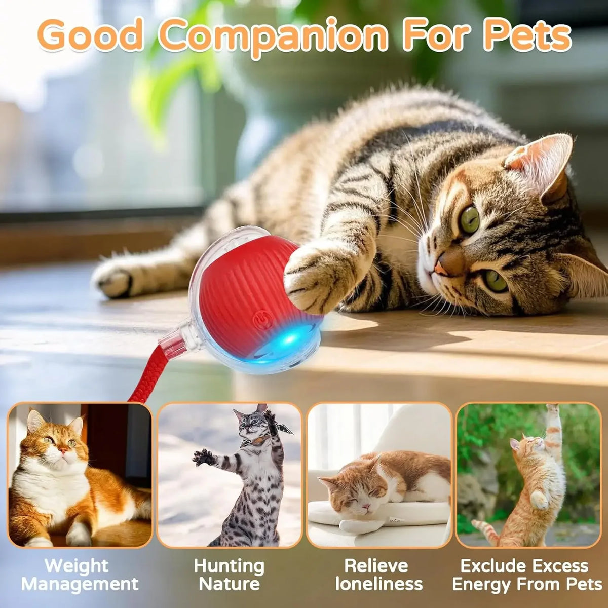 Jouet interactif pour chat, balle roulante automatique avec queue artificielle, jouet électrique intelligent rechargeable pour animal de compagnie imitant une souris