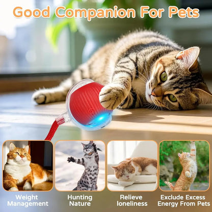 Jouet interactif pour chat, balle roulante automatique avec queue artificielle, jouet électrique intelligent rechargeable pour animal de compagnie imitant une souris