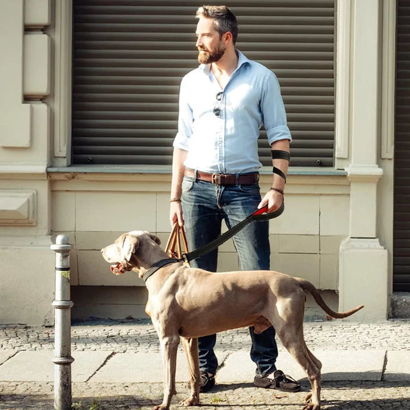 Heavy Duty Double Handle Dog Leash: Ultimate Control for Safe Training & Walks