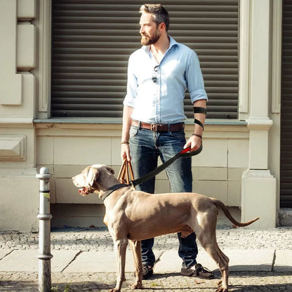 Heavy Duty Double Handle Dog Leash: Ultimate Control for Safe Training & Walks