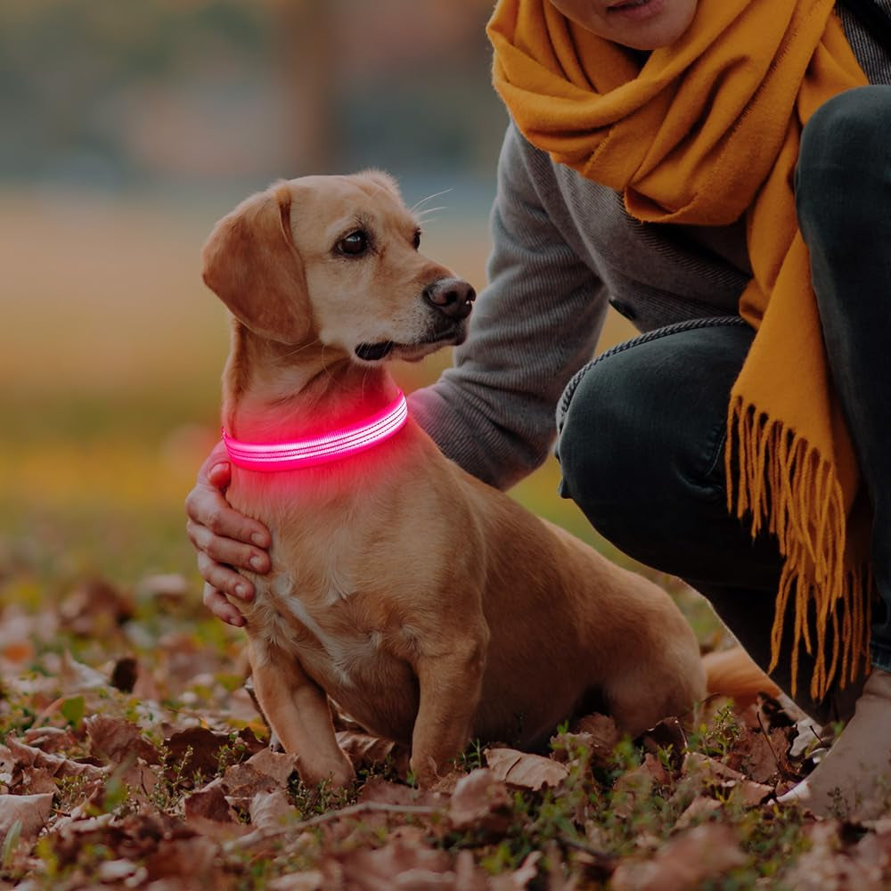 LED Dog Collar, Rechargeable Light up Dog Collars Glow in the Dark, Reflective Safety Collar Light for Dogs Walking at Night (Pink, S)